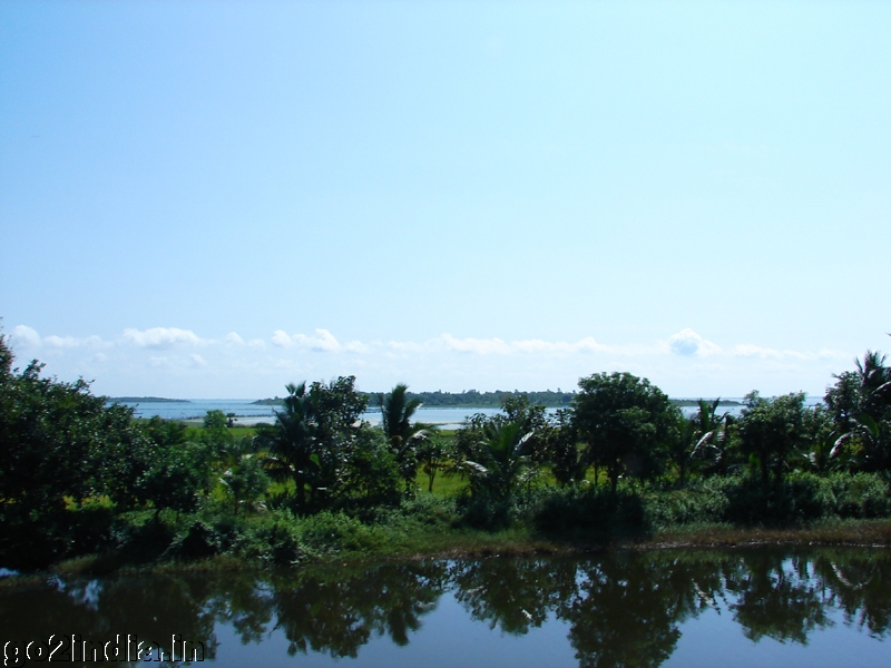 Chilika train