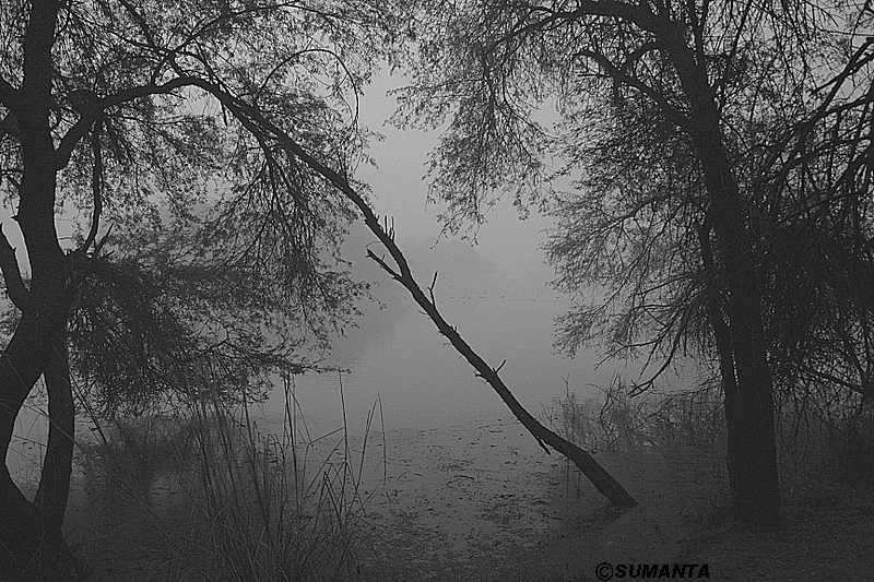 Sultanpur in a misty morning