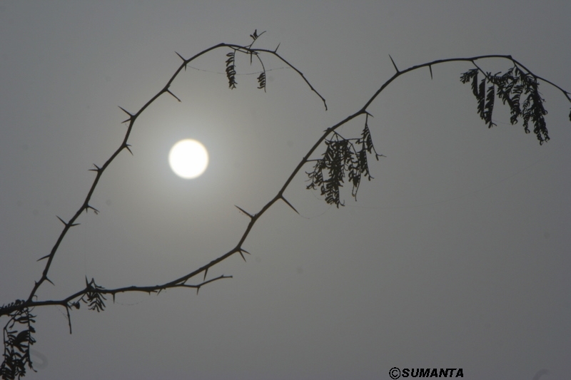 Sultanpur in a misty morning