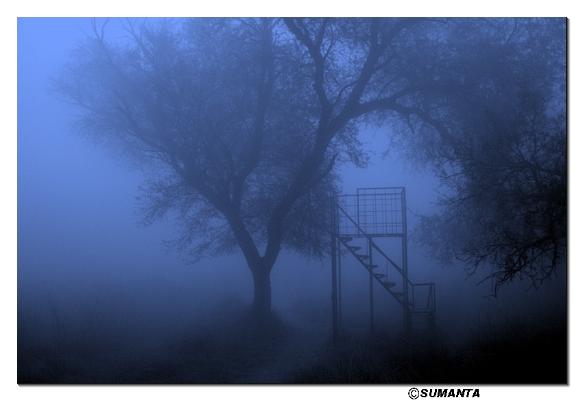 Sultanpur in a misty morning