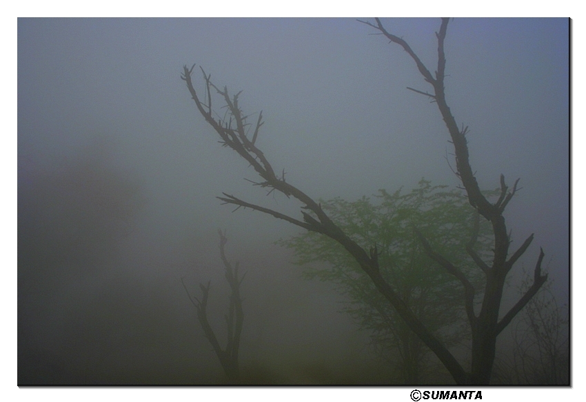 Sultanpur in a misty morning