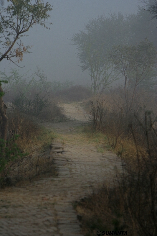 Sultanpur in a misty morning