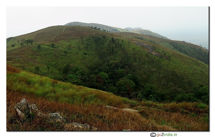View of forest hill range at Gopalaswamy betta