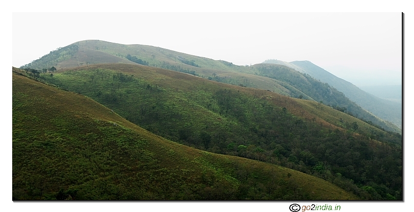 madumalai, Bandipur and Nagahole fores scene from Gopalswamy hill