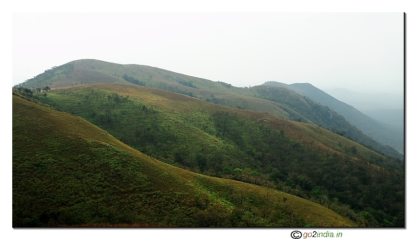 Hill lines as seen from Himad Gopalaswamy Betta