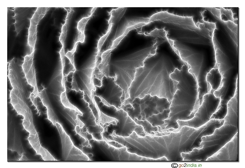 cabbage using Fractalius filter in Photo shop CS2 shot with Tamron 70-300