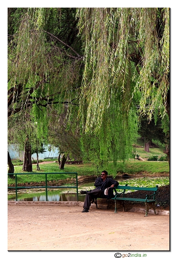 Person taking rest on a bench in Botanical garden Ooty