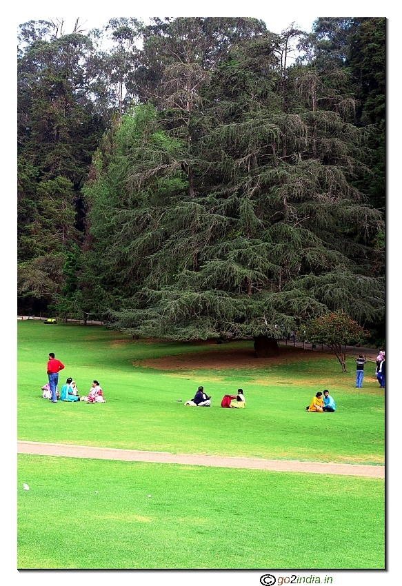 People taking snacks sitting under a tree in Botanical garden, Ooty