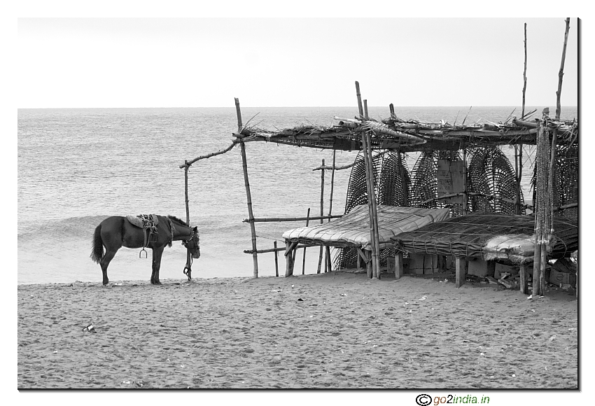 Konark Sea beach on the way to Puri