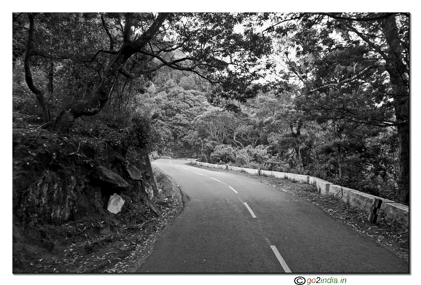 Ooty to Coonoor and Dolphin nose road trip view