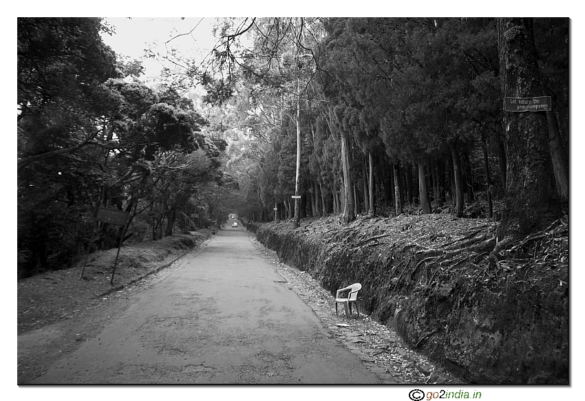 On the way to Dodda Betta near Ooty road journey