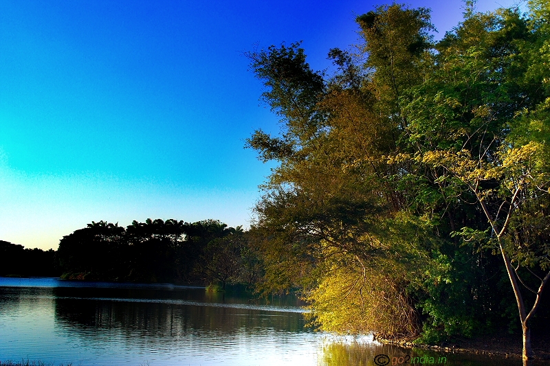 Karanji kere lake vertical view from birding point in Mysore