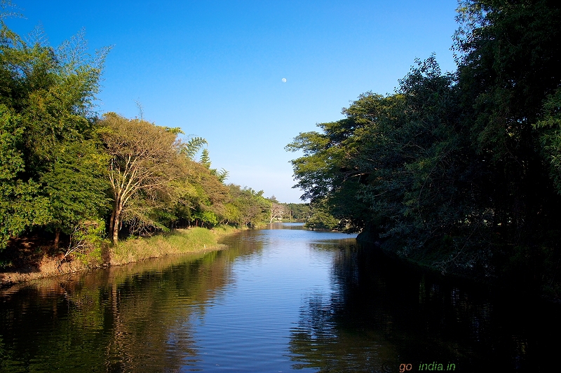 Karanji kere lake view from walk over way to Butterfly garden