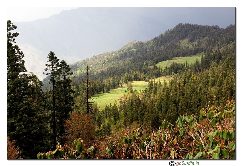 Sceneries of Meadow in Himalaya during trekking