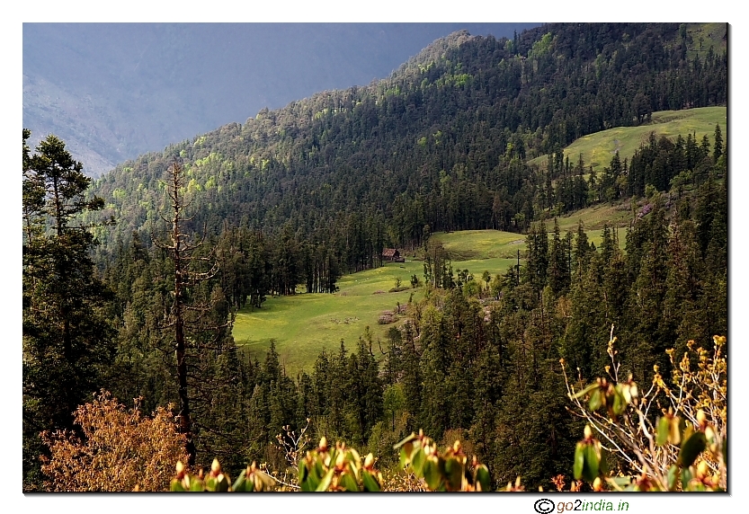 Green valley from top