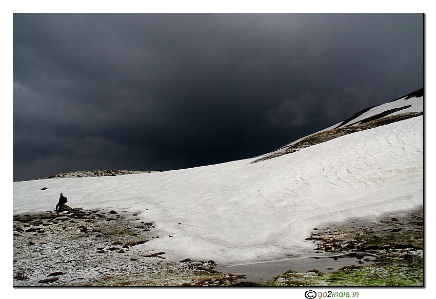 Snow and tree during trekking