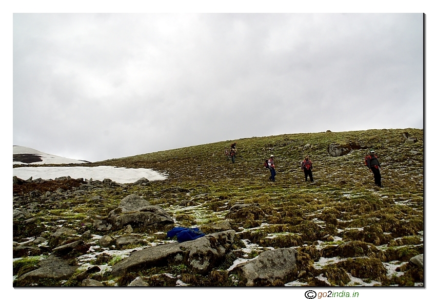 Snow and tree during trekking