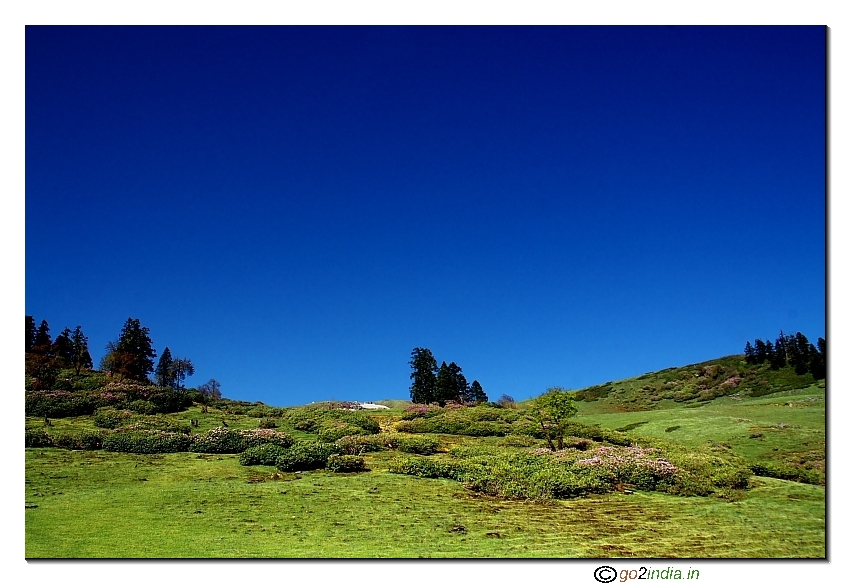 Near Talhouti camp during Kedar Kantha trekking