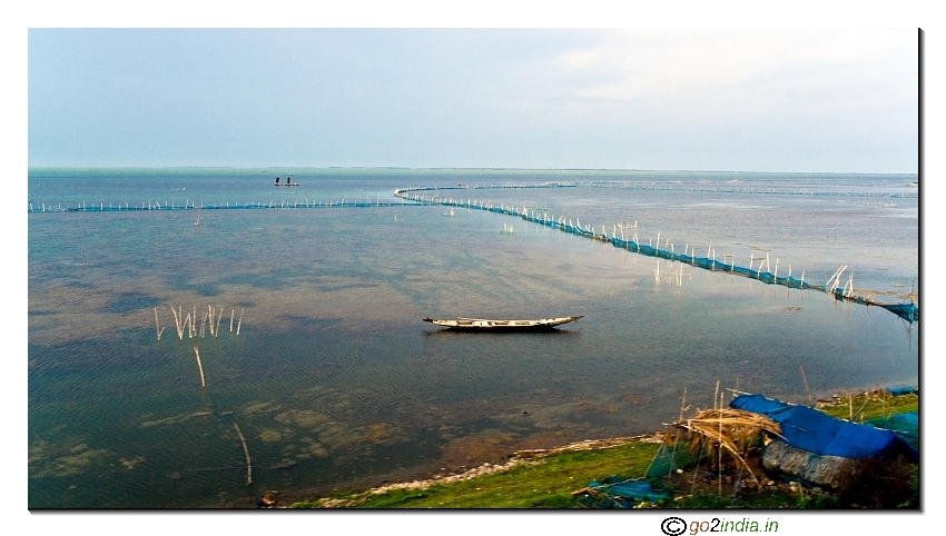 The blue water of Chilika Lake from Konark Exp train in afternoon. 