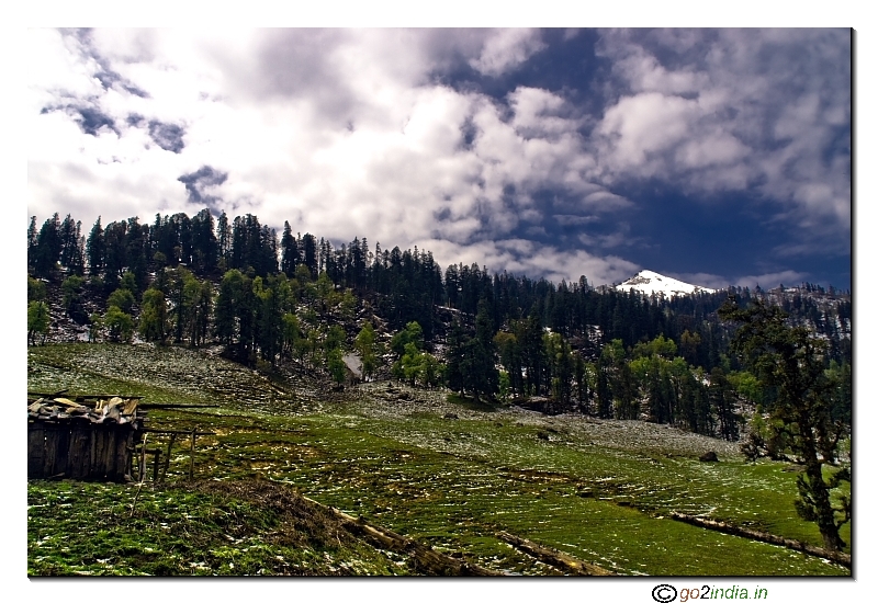 Snow patches on the way to base camp at Kedarkantha