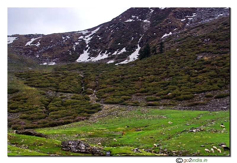 Side hills ner camp site at Kedarkantha trekking