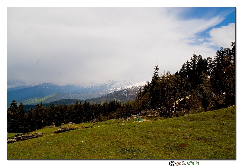 Green  Meadow near Lohasu Thatch camp site 