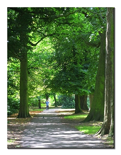 Gunnersbury park