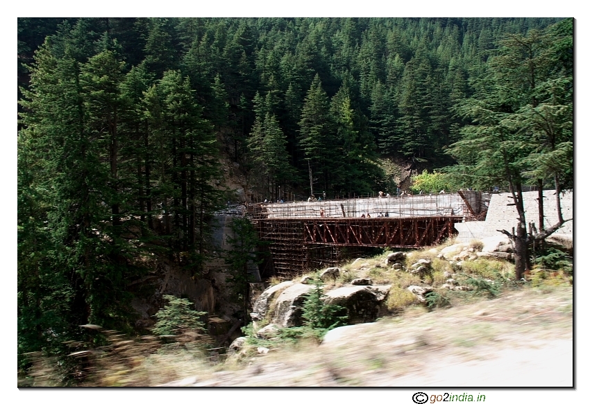 Green forest near Gangotri temple