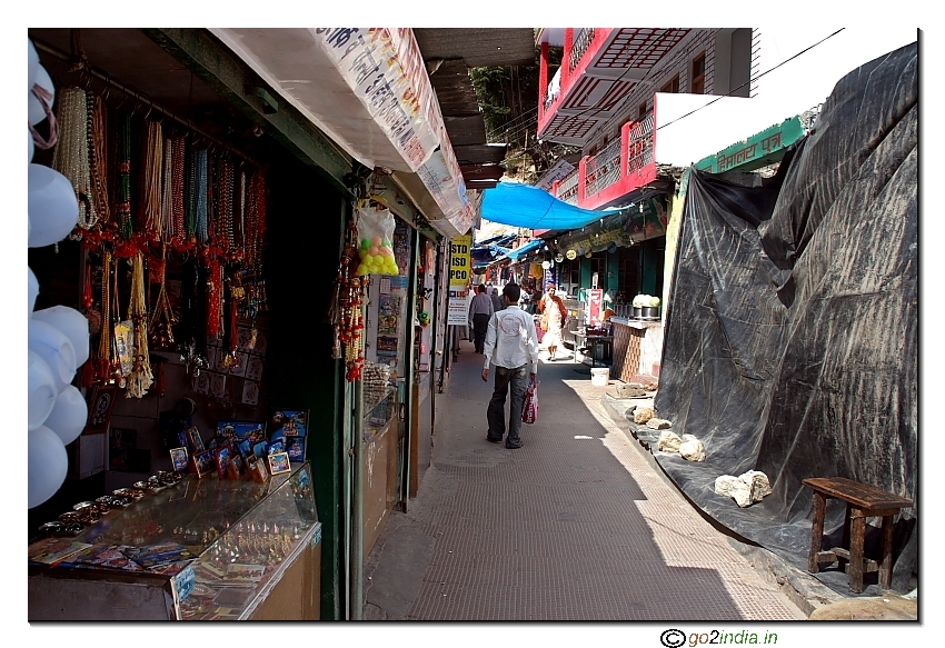 Shops and hotels by the side of the road to Gangotri temple