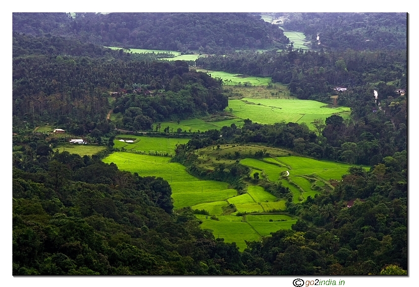 View of Coorg