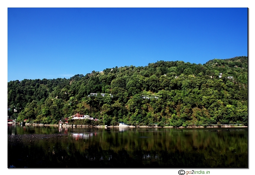 Trees and Lake at Nainital 