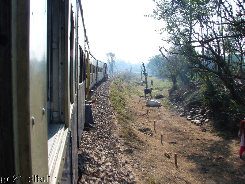 Train at a curve