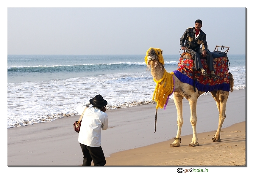 Tourist Photo on a camel at Puri beach 