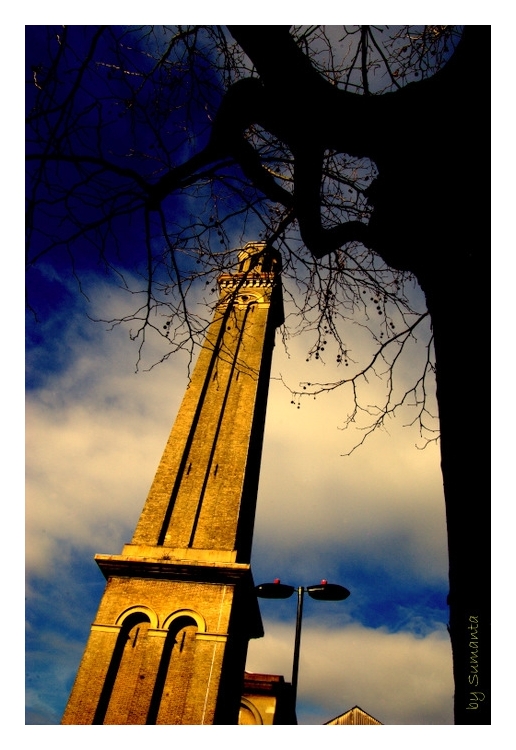 Sunny day in Blue sky