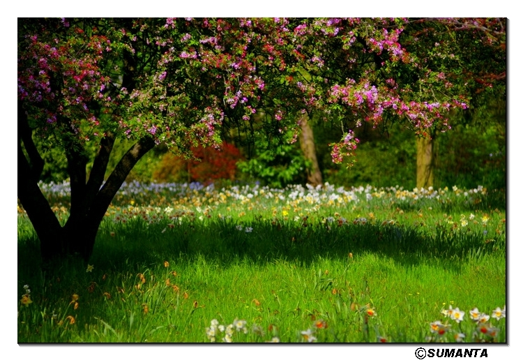 Hampton Court palace garden