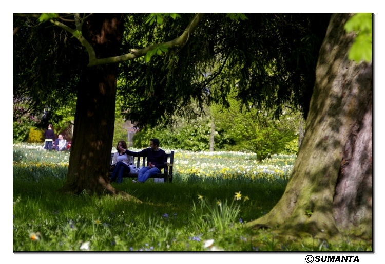 Hampton Court palace garden