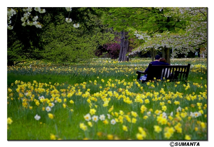 Hampton Court palace garden