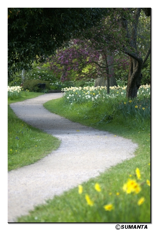 Hampton Court palace garden