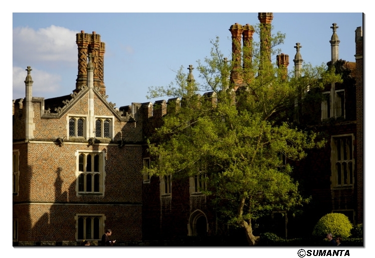 Hampton Court palace garden