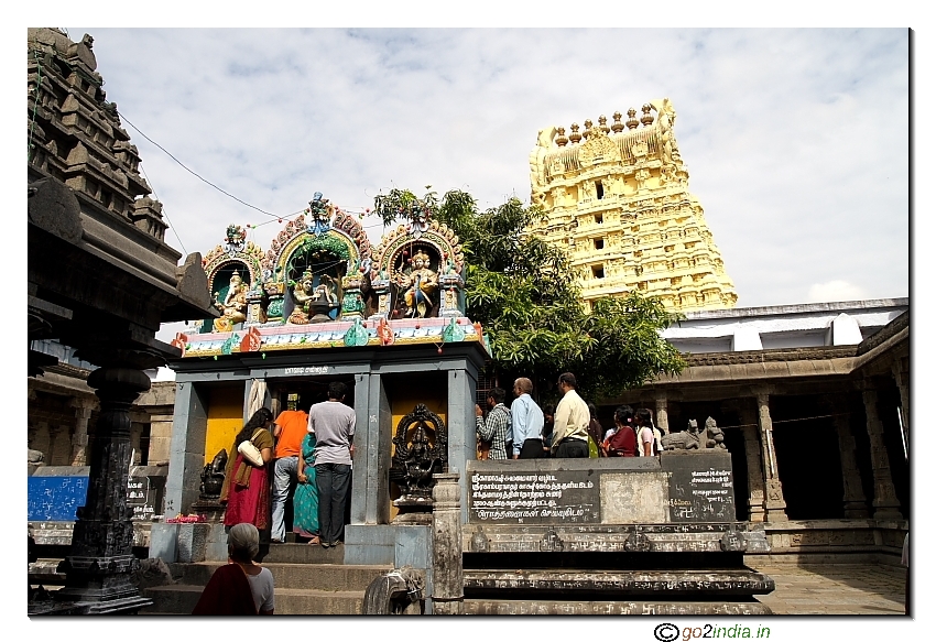 Holy Mango tree at Kanchipuram Sri Ekambareswarar temple