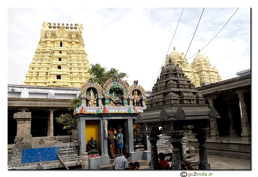 Mango tree within the complex of Sri Ekambareswarar temple