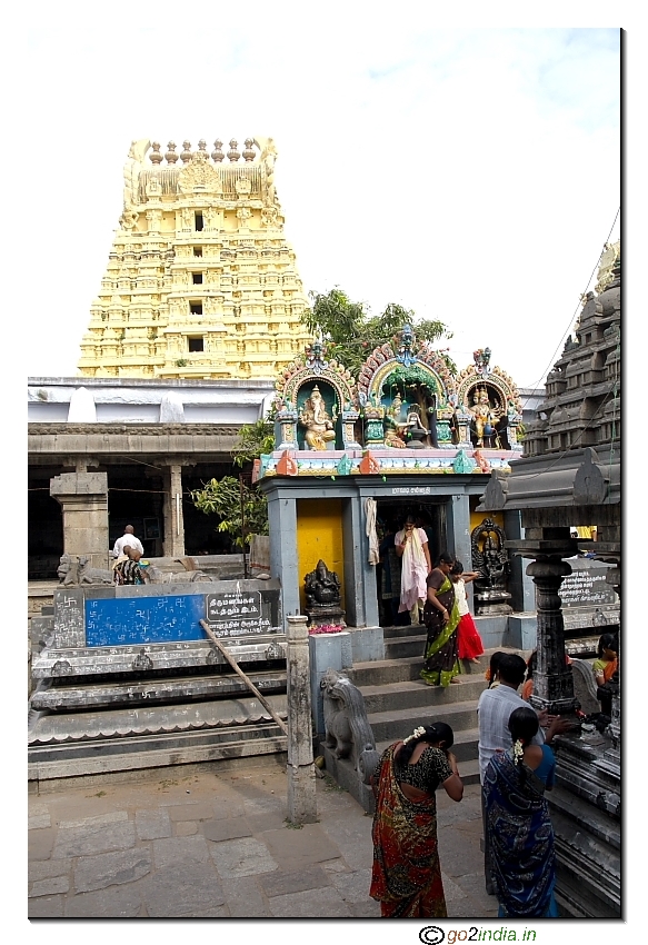 Famous Mango tree within the  complex of Ekambareswar temple