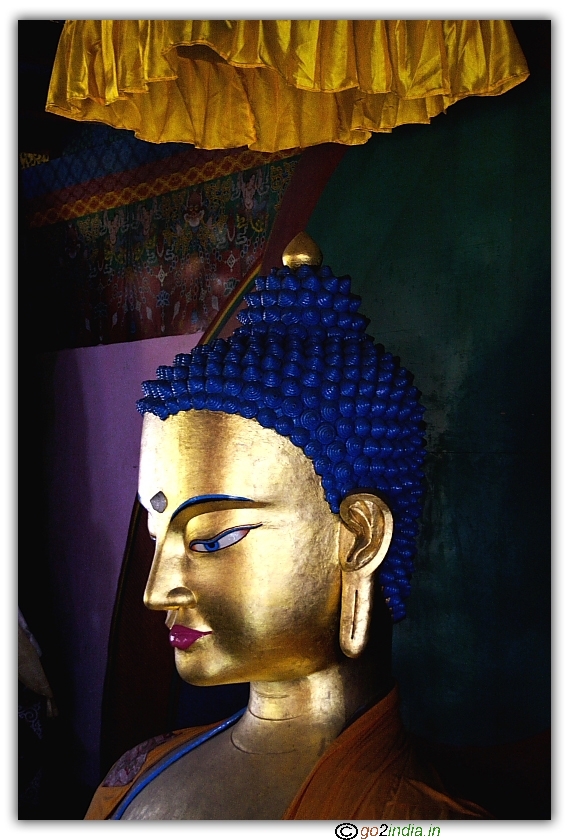 Left side view of Buddha face