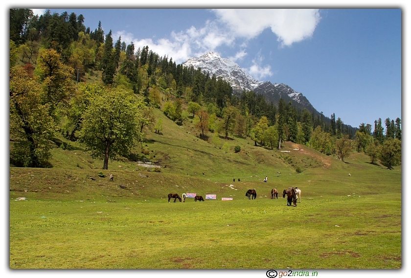 Solang valley hill station at Manali