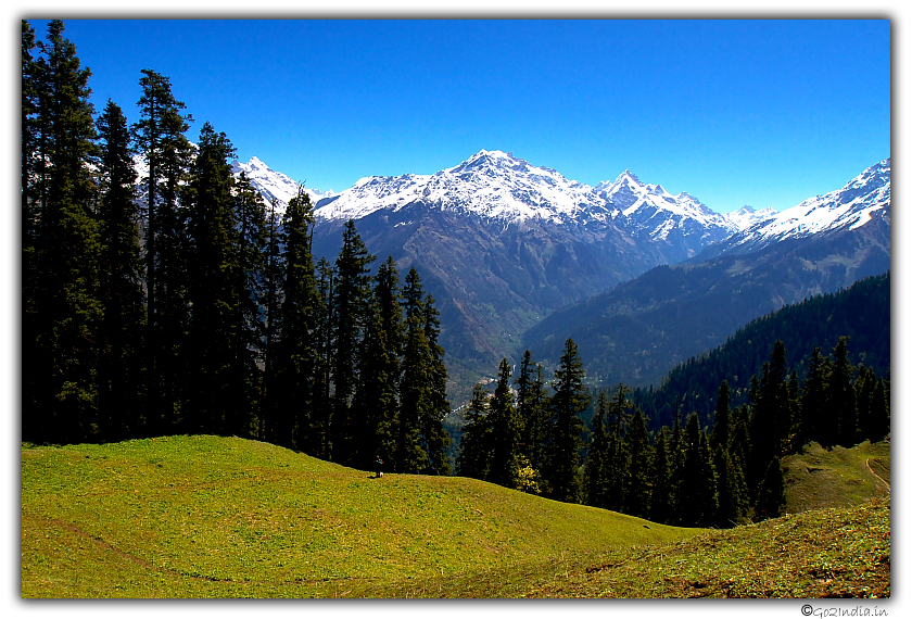 End of trees at Himalayan peak