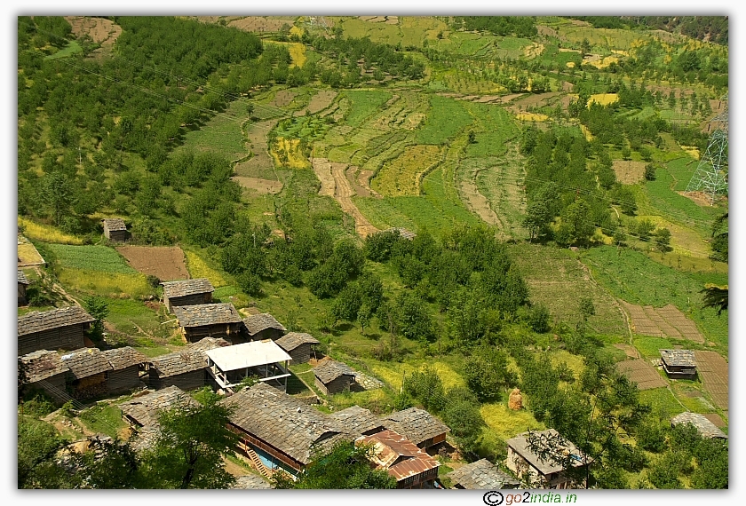 Greenery of the valley near Naggar, Kullu Manali