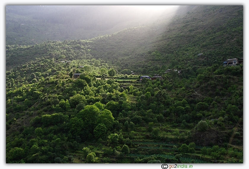 Lush green in Parvati valley