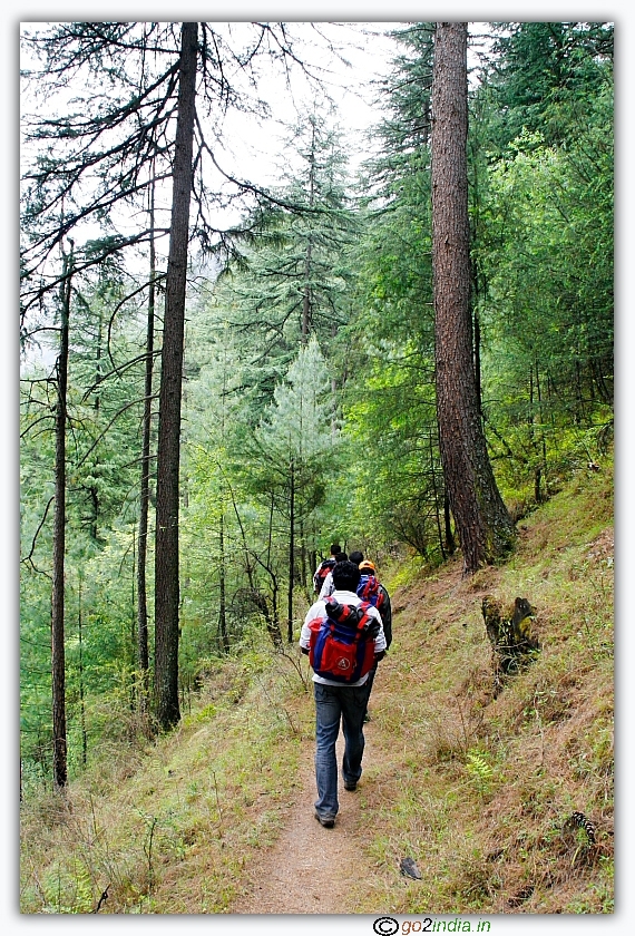 Trekking in Kasol for acclimatization 