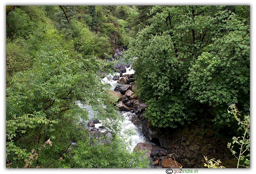 Flow of river between thick green valley