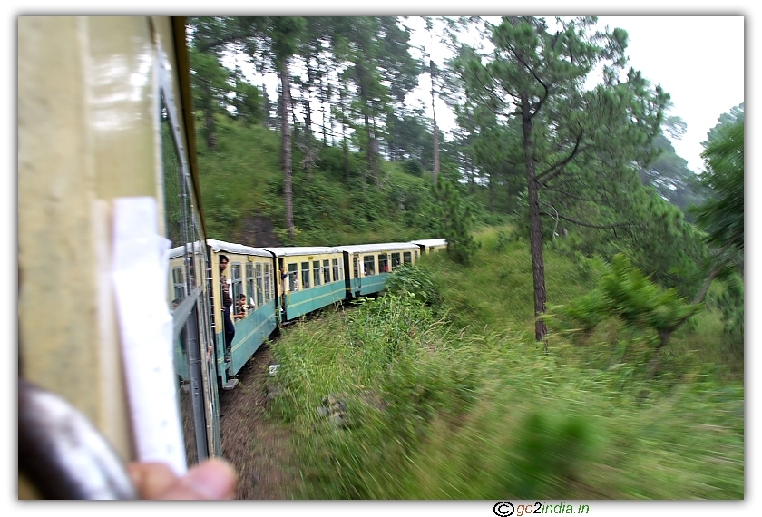 Himalayan Queen at a curve 